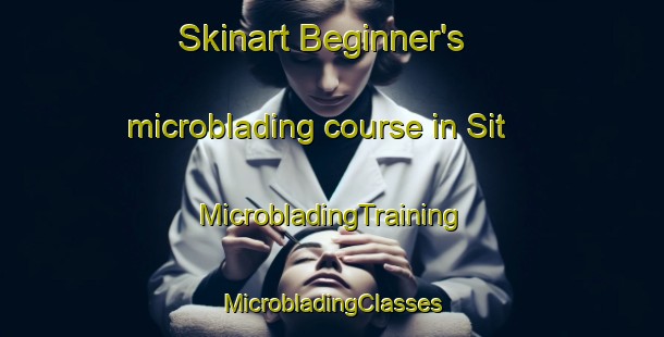 Skinart Beginner's microblading course in Sit | #MicrobladingTraining #MicrobladingClasses #SkinartTraining-Turkey