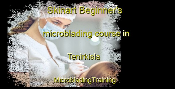 Skinart Beginner's microblading course in Tenirkisla | MicrobladingTraining | MicrobladingClasses | SkinartTraining-Turkey