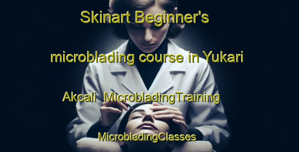 Skinart Beginner's microblading course in Yukari Akcali | MicrobladingTraining | MicrobladingClasses | SkinartTraining-Turkey