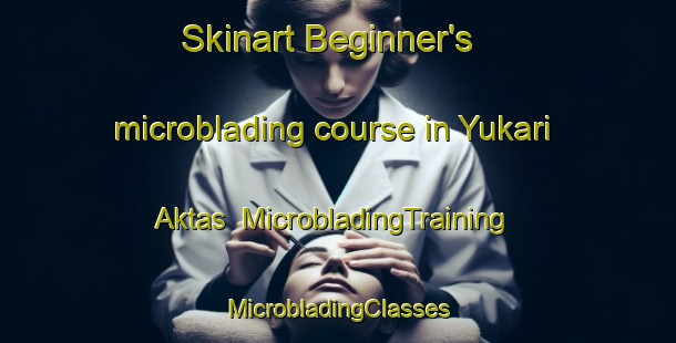 Skinart Beginner's microblading course in Yukari Aktas | #MicrobladingTraining #MicrobladingClasses #SkinartTraining-Turkey