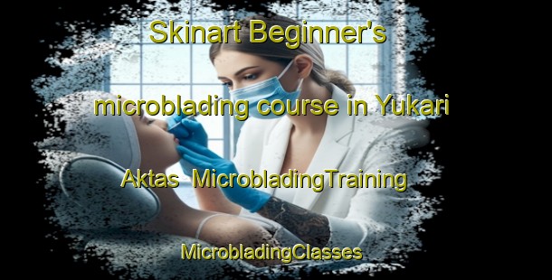 Skinart Beginner's microblading course in Yukari Aktas | MicrobladingTraining | MicrobladingClasses | SkinartTraining-Turkey