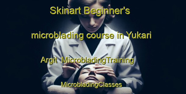 Skinart Beginner's microblading course in Yukari Argit | MicrobladingTraining | MicrobladingClasses | SkinartTraining-Turkey