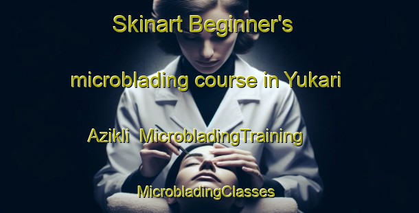 Skinart Beginner's microblading course in Yukari Azikli | MicrobladingTraining | MicrobladingClasses | SkinartTraining-Turkey
