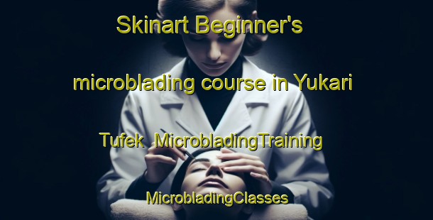 Skinart Beginner's microblading course in Yukari Tufek | #MicrobladingTraining #MicrobladingClasses #SkinartTraining-Turkey