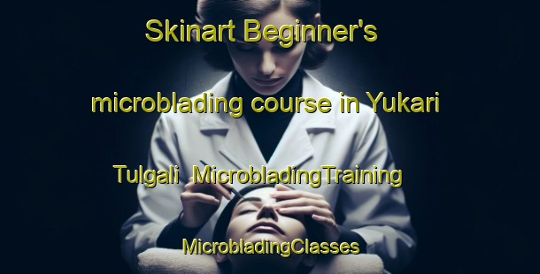 Skinart Beginner's microblading course in Yukari Tulgali | #MicrobladingTraining #MicrobladingClasses #SkinartTraining-Turkey