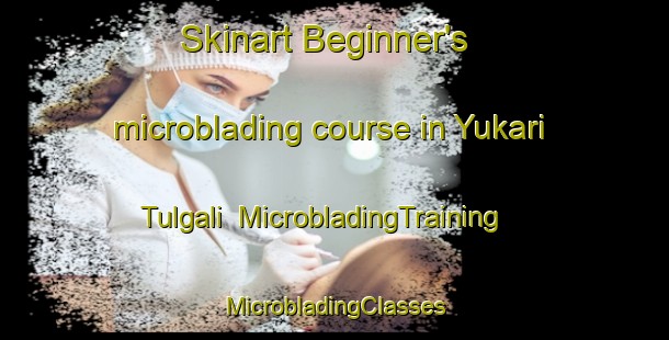 Skinart Beginner's microblading course in Yukari Tulgali | #MicrobladingTraining #MicrobladingClasses #SkinartTraining-Turkey