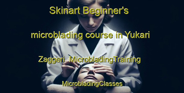 Skinart Beginner's microblading course in Yukari Zaggeri | #MicrobladingTraining #MicrobladingClasses #SkinartTraining-Turkey