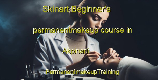 Skinart Beginner's permanentmakeup course in Akpinarli | #PermanentmakeupTraining #PermanentmakeupClasses #SkinartTraining-Turkey