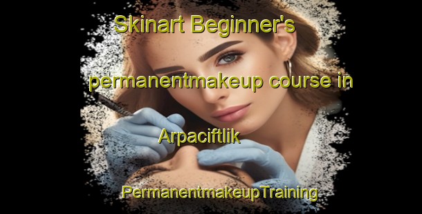 Skinart Beginner's permanentmakeup course in Arpaciftlik | #PermanentmakeupTraining #PermanentmakeupClasses #SkinartTraining-Turkey