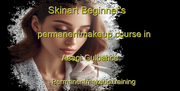 Skinart Beginner's permanentmakeup course in Asagi Gulbahce | #PermanentmakeupTraining #PermanentmakeupClasses #SkinartTraining-Turkey