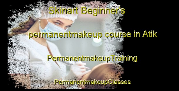 Skinart Beginner's permanentmakeup course in Atik | PermanentmakeupTraining | PermanentmakeupClasses | SkinartTraining-Turkey
