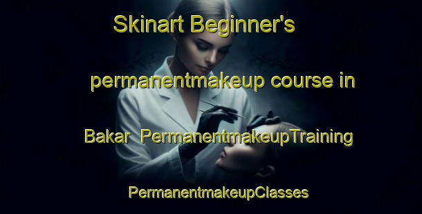 Skinart Beginner's permanentmakeup course in Bakar | PermanentmakeupTraining | PermanentmakeupClasses | SkinartTraining-Turkey