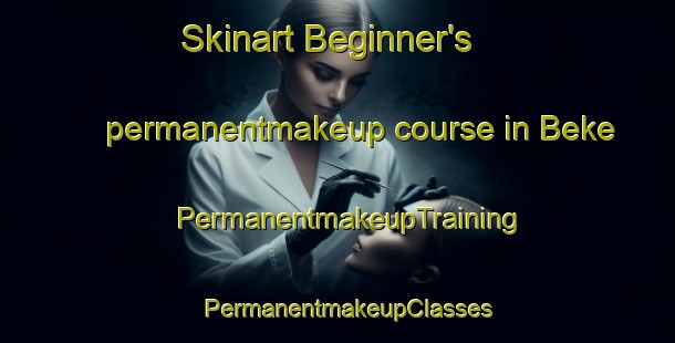 Skinart Beginner's permanentmakeup course in Beke | PermanentmakeupTraining | PermanentmakeupClasses | SkinartTraining-Turkey