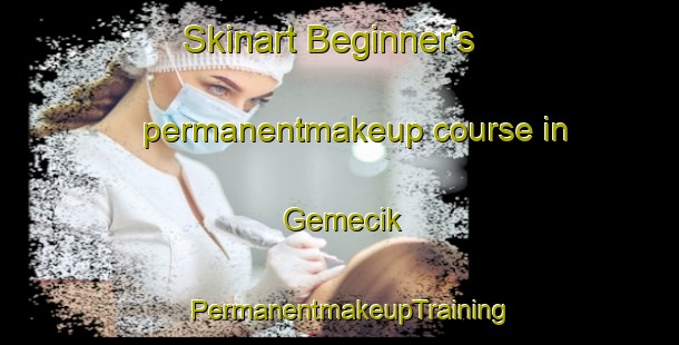 Skinart Beginner's permanentmakeup course in Gemecik | PermanentmakeupTraining | PermanentmakeupClasses | SkinartTraining-Turkey