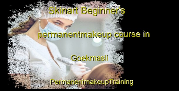 Skinart Beginner's permanentmakeup course in Goekmasli | PermanentmakeupTraining | PermanentmakeupClasses | SkinartTraining-Turkey