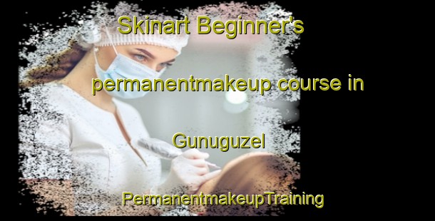 Skinart Beginner's permanentmakeup course in Gunuguzel | PermanentmakeupTraining | PermanentmakeupClasses | SkinartTraining-Turkey