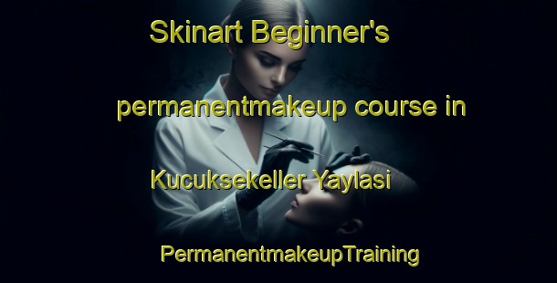 Skinart Beginner's permanentmakeup course in Kucuksekeller Yaylasi | #PermanentmakeupTraining #PermanentmakeupClasses #SkinartTraining-Turkey