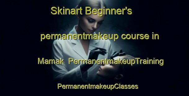 Skinart Beginner's permanentmakeup course in Mamak | PermanentmakeupTraining | PermanentmakeupClasses | SkinartTraining-Turkey