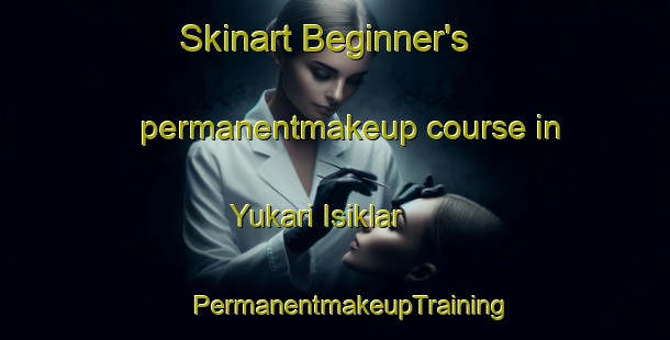 Skinart Beginner's permanentmakeup course in Yukari Isiklar | #PermanentmakeupTraining #PermanentmakeupClasses #SkinartTraining-Turkey