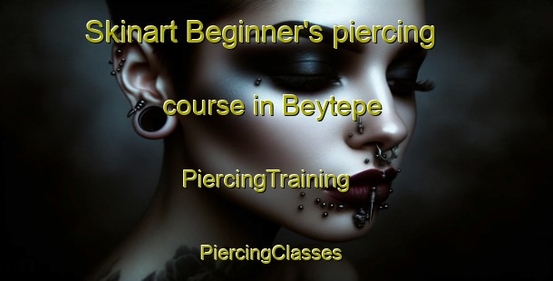 Skinart Beginner's piercing course in Beytepe | PiercingTraining | PiercingClasses | SkinartTraining-Turkey