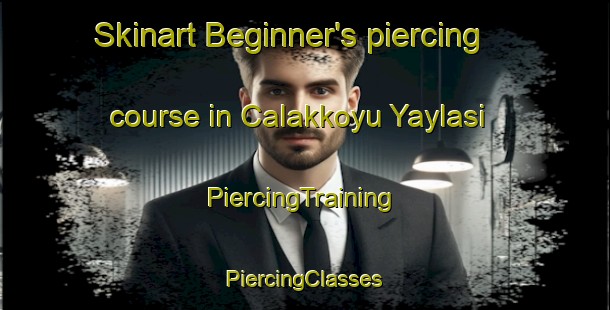 Skinart Beginner's piercing course in Calakkoyu Yaylasi | #PiercingTraining #PiercingClasses #SkinartTraining-Turkey