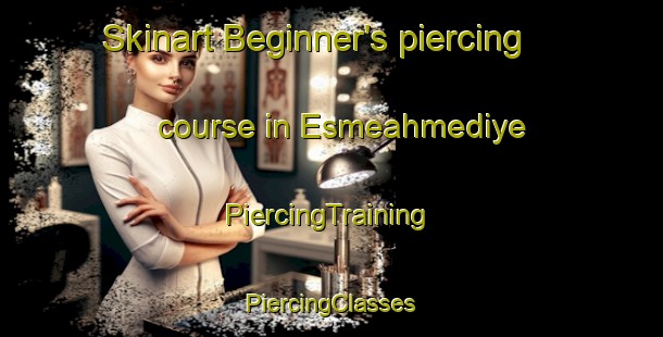 Skinart Beginner's piercing course in Esmeahmediye | #PiercingTraining #PiercingClasses #SkinartTraining-Turkey