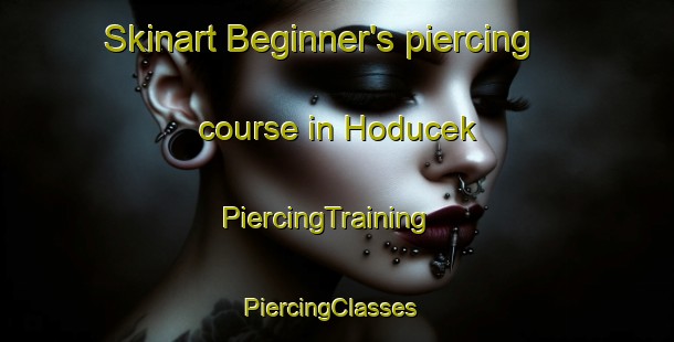 Skinart Beginner's piercing course in Hoducek | PiercingTraining | PiercingClasses | SkinartTraining-Turkey