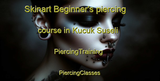 Skinart Beginner's piercing course in Kucuk Suseli | #PiercingTraining #PiercingClasses #SkinartTraining-Turkey