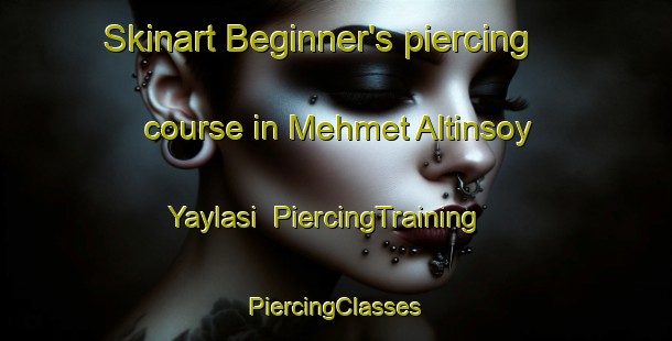 Skinart Beginner's piercing course in Mehmet Altinsoy Yaylasi | #PiercingTraining #PiercingClasses #SkinartTraining-Turkey