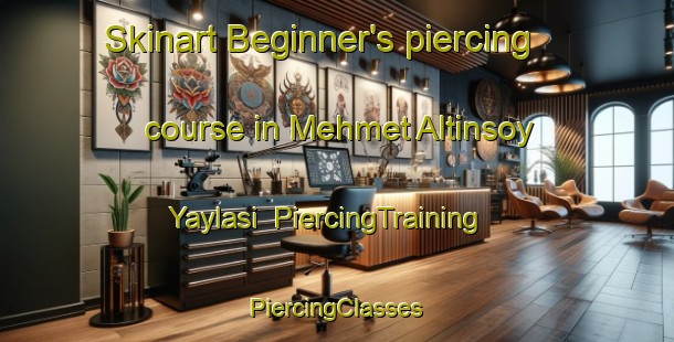 Skinart Beginner's piercing course in Mehmet Altinsoy Yaylasi | #PiercingTraining #PiercingClasses #SkinartTraining-Turkey