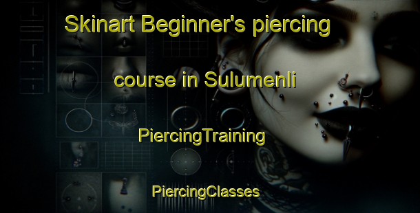 Skinart Beginner's piercing course in Sulumenli | PiercingTraining | PiercingClasses | SkinartTraining-Turkey
