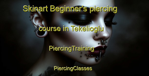 Skinart Beginner's piercing course in Tekelioglu | PiercingTraining | PiercingClasses | SkinartTraining-Turkey