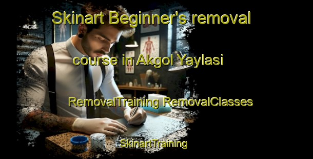 Skinart Beginner's removal course in Akgol Yaylasi | #RemovalTraining #RemovalClasses #SkinartTraining-Turkey