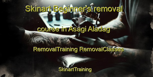 Skinart Beginner's removal course in Asagi Aladag | #RemovalTraining #RemovalClasses #SkinartTraining-Turkey