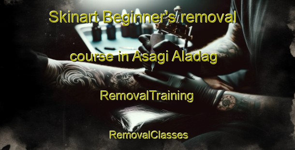 Skinart Beginner's removal course in Asagi Aladag | RemovalTraining | RemovalClasses | SkinartTraining-Turkey