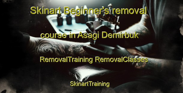 Skinart Beginner's removal course in Asagi Demirbuk | #RemovalTraining #RemovalClasses #SkinartTraining-Turkey