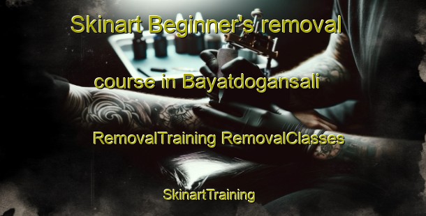 Skinart Beginner's removal course in Bayatdogansali | #RemovalTraining #RemovalClasses #SkinartTraining-Turkey