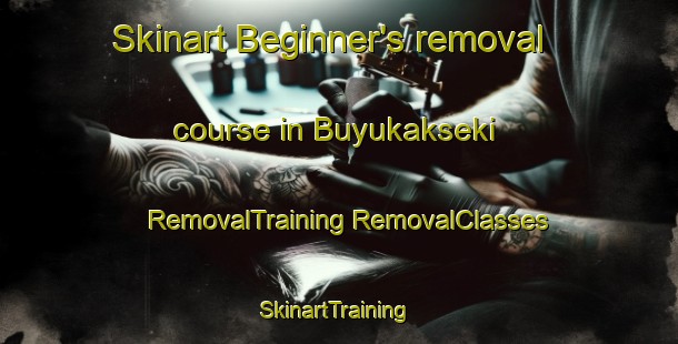 Skinart Beginner's removal course in Buyukakseki | #RemovalTraining #RemovalClasses #SkinartTraining-Turkey