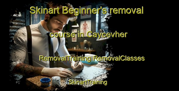 Skinart Beginner's removal course in Caycevher | #RemovalTraining #RemovalClasses #SkinartTraining-Turkey