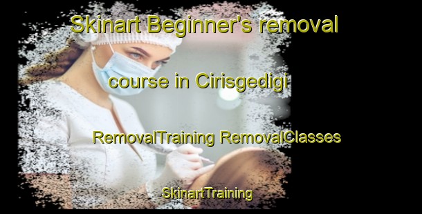 Skinart Beginner's removal course in Cirisgedigi | #RemovalTraining #RemovalClasses #SkinartTraining-Turkey