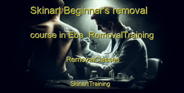 Skinart Beginner's removal course in Eba | RemovalTraining | RemovalClasses | SkinartTraining-Turkey
