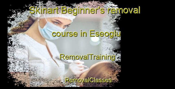 Skinart Beginner's removal course in Eseoglu | RemovalTraining | RemovalClasses | SkinartTraining-Turkey