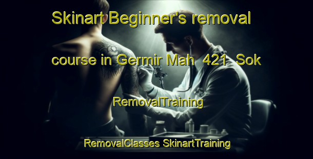 Skinart Beginner's removal course in Germir Mah  421  Sok | #RemovalTraining #RemovalClasses #SkinartTraining-Turkey