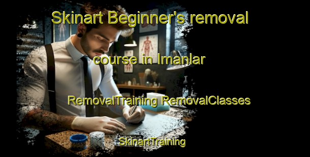 Skinart Beginner's removal course in Imanlar | #RemovalTraining #RemovalClasses #SkinartTraining-Turkey