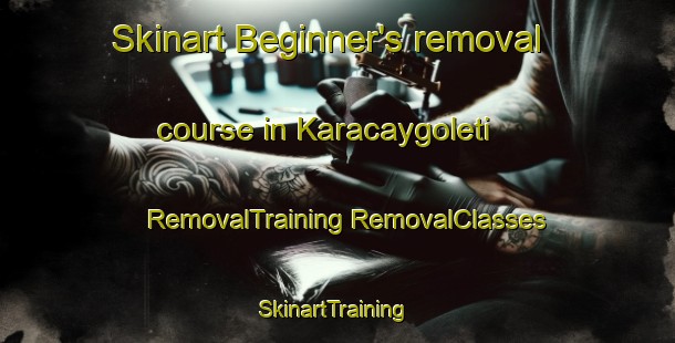 Skinart Beginner's removal course in Karacaygoleti | #RemovalTraining #RemovalClasses #SkinartTraining-Turkey