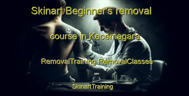 Skinart Beginner's removal course in Kecemagara | #RemovalTraining #RemovalClasses #SkinartTraining-Turkey