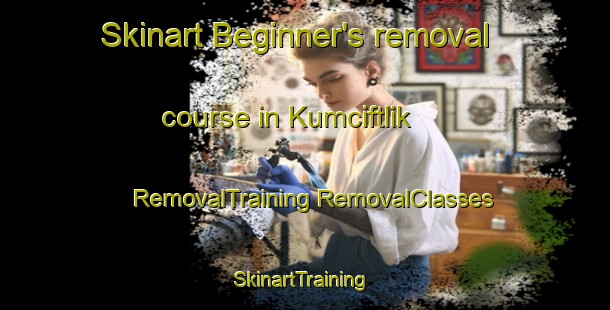 Skinart Beginner's removal course in Kumciftlik | #RemovalTraining #RemovalClasses #SkinartTraining-Turkey