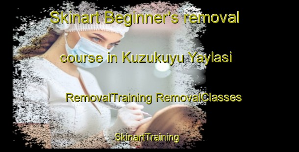 Skinart Beginner's removal course in Kuzukuyu Yaylasi | #RemovalTraining #RemovalClasses #SkinartTraining-Turkey