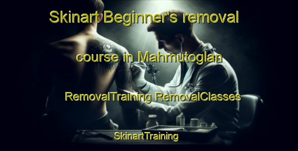 Skinart Beginner's removal course in Mahmutoglan | #RemovalTraining #RemovalClasses #SkinartTraining-Turkey