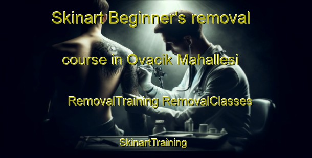 Skinart Beginner's removal course in Ovacik Mahallesi | #RemovalTraining #RemovalClasses #SkinartTraining-Turkey